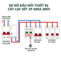 Chống sét lan truyền AC 2P 40Ka, Picolink PL-CS2P-40